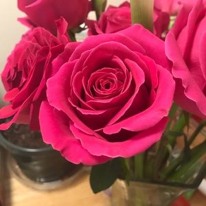 Meet your Posher, Beth